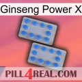 Ginseng Power X 20